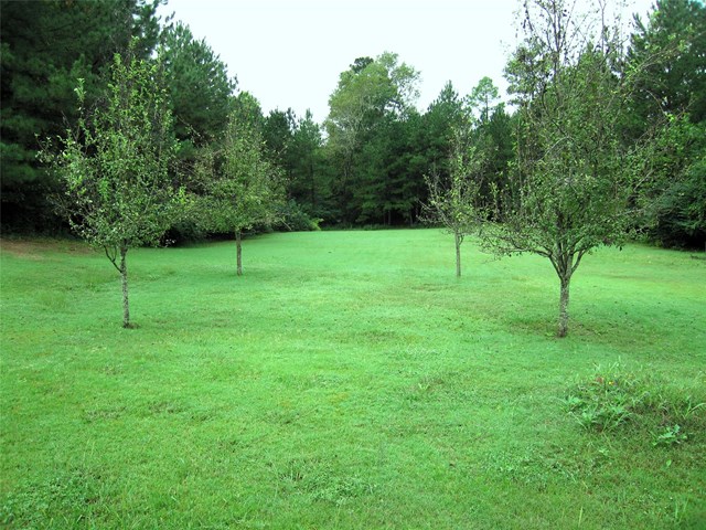 825 Masters Dr, Monroe, GA 30655 photo 24