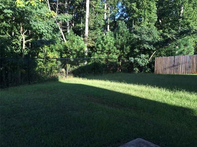 11124 James Madison Dr, Hampton, GA 30228 photo 16