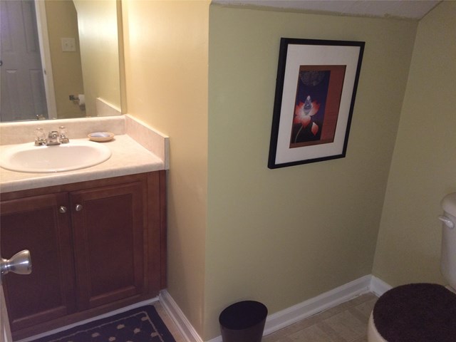 11124 James Madison Dr, Hampton, GA 30228 photo 15