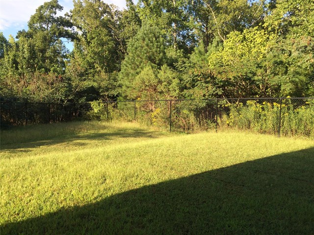 11124 James Madison Dr, Hampton, GA 30228 photo 17
