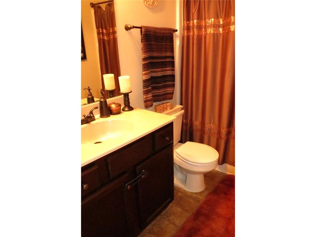 132 Traditions Ln, Hampton, GA 30228 photo 14