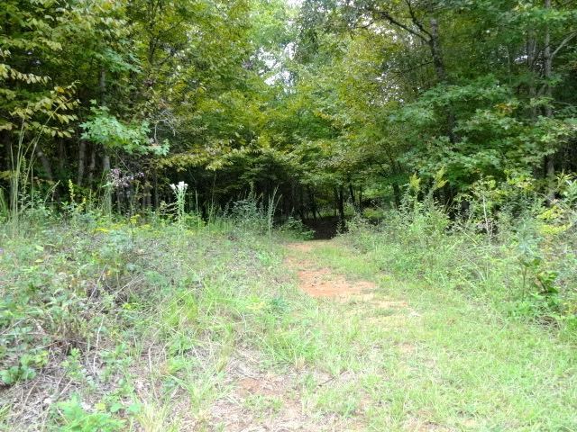 181 Eagles Pointe Loop, Midland, GA 31820 photo 21