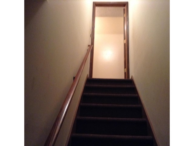 13709 Panhandle Rd, Hampton, GA 30228 photo 12