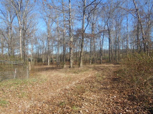 281 Ingram Rd, Commerce, GA 30530 photo 1