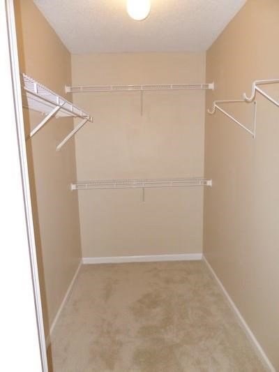 2745 Fort Apachee Trl, Dacula, GA 30019 photo 10