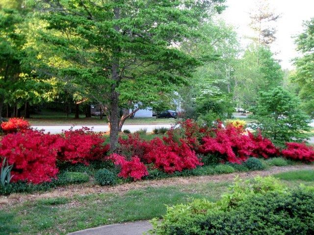2961 Rosecommons Dr, Hampton, GA 30228 photo 13