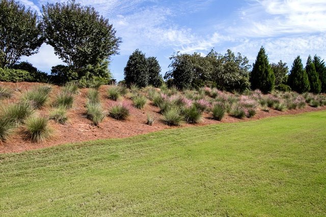 311 Anna Ruby Ct, Griffin, GA 30223 photo 24