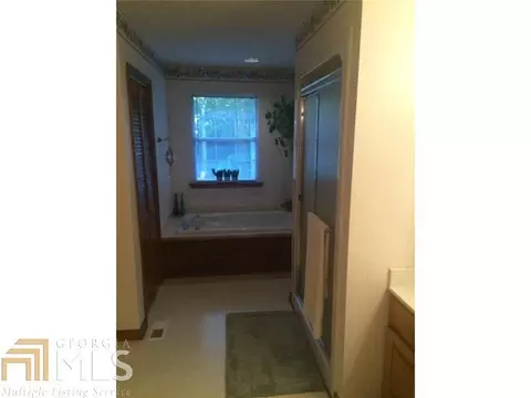 300 Winding Stream Trl, Hampton, GA 30228 photo 10