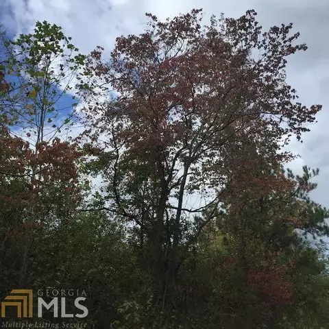 621 County Rd 444, Fruithurts, AL 36262 photo 8