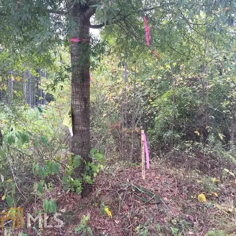 621 County Rd 444, Fruithurts, AL 36262 photo 4