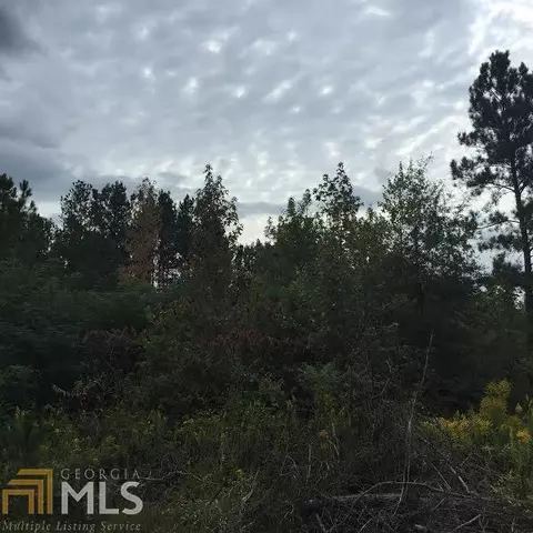 621 County Rd 444, Fruithurts, AL 36262 photo 3