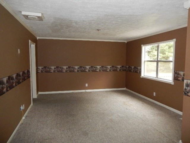 67 Corinth Five Points Rd, Buchanan, GA 30113 photo 5