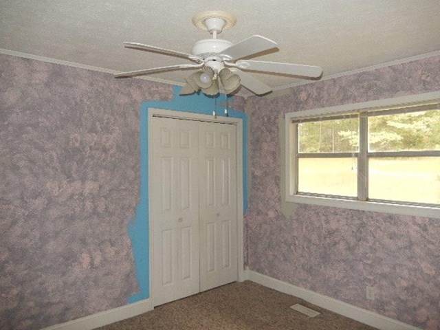 67 Corinth Five Points Rd, Buchanan, GA 30113 photo 7