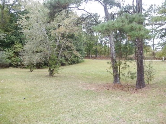 67 Corinth Five Points Rd, Buchanan, GA 30113 photo 3