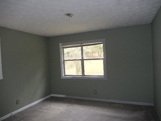 67 Corinth Five Points Rd, Buchanan, GA 30113 photo 8