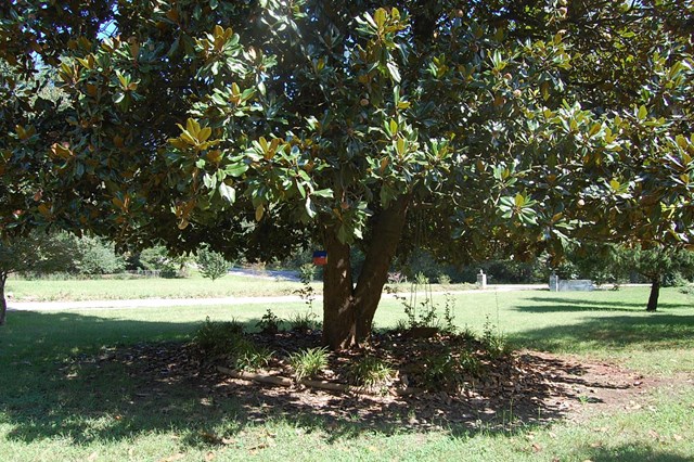 4135 Ruby Dr, Cumming, GA 30028 photo 13