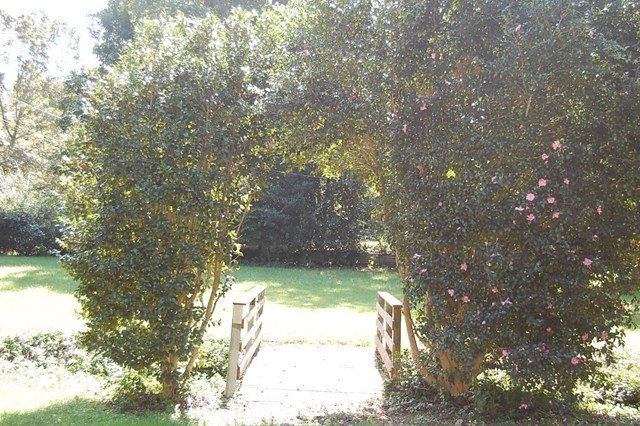 4135 Ruby Dr, Cumming, GA 30028 photo 14