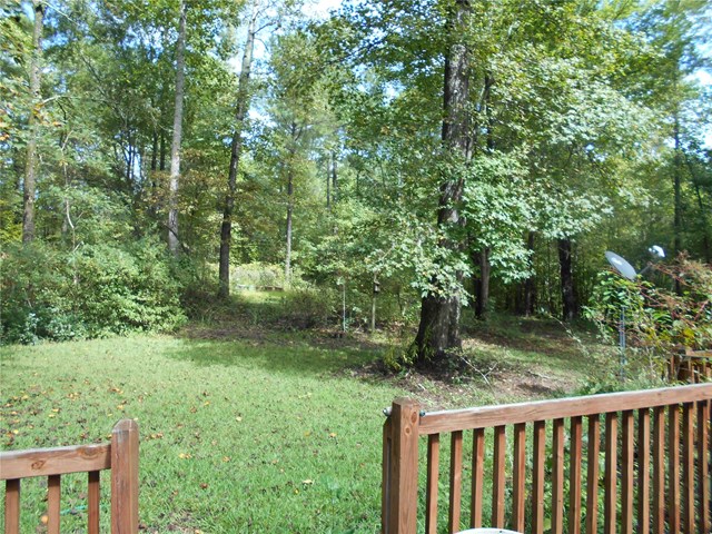 148 Coyote Trl, Jackson, GA 30233 photo 24