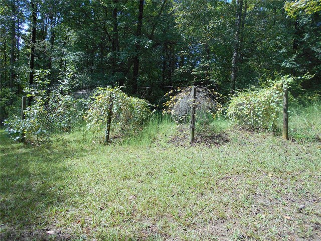 148 Coyote Trl, Jackson, GA 30233 photo 12