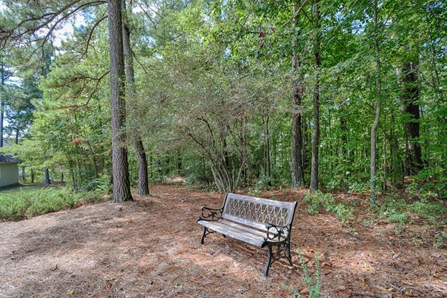 192 Revolutionary, Hampton, GA 30228 photo 23