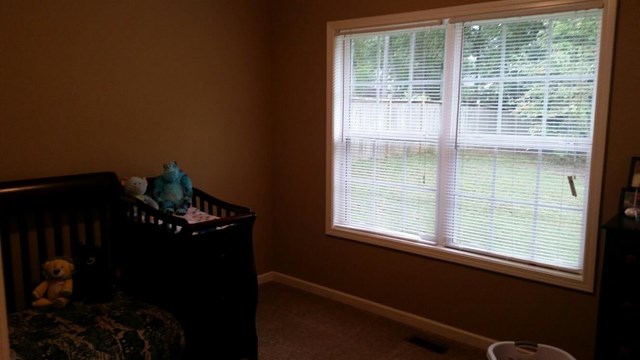 116 Rabon Trl, Temple, GA 30179 photo 8