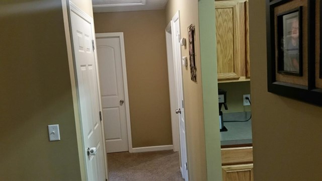 116 Rabon Trl, Temple, GA 30179 photo 3