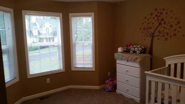 116 Rabon Trl, Temple, GA 30179 photo 9