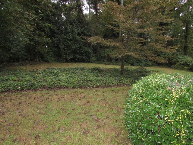 1031 Driskell Ct, Austell, GA 30168 photo 8