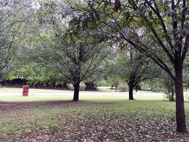 1634 Greendale Rd, Covington, GA 30014 photo 2