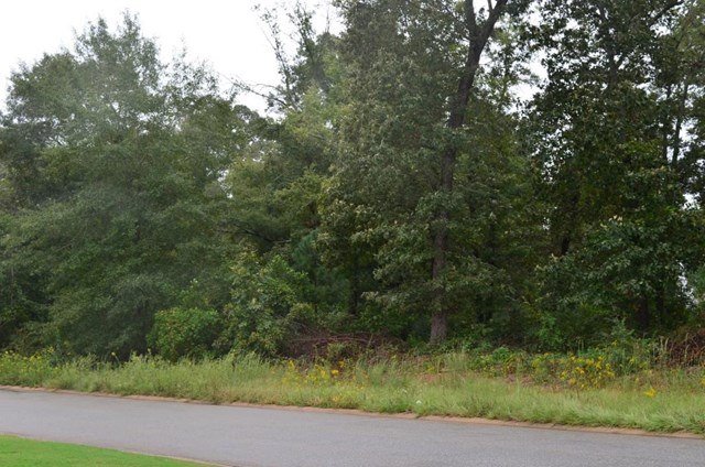 317 Durango Pass, Warner Robins, GA 31088 photo 4