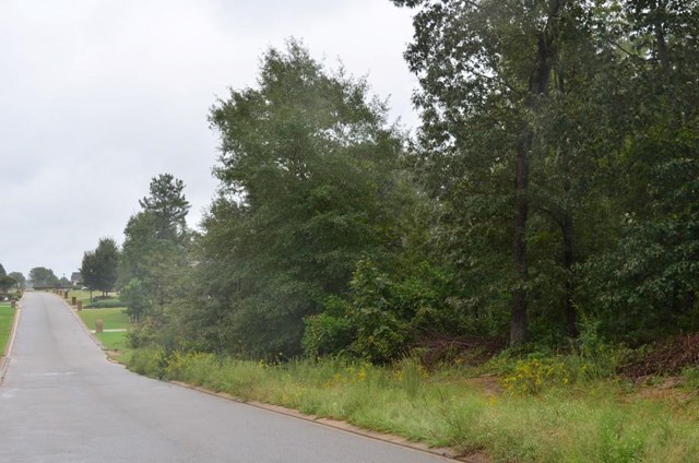 317 Durango Pass, Warner Robins, GA 31088 photo 6