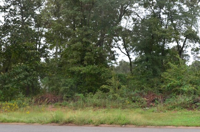317 Durango Pass, Warner Robins, GA 31088 photo 3