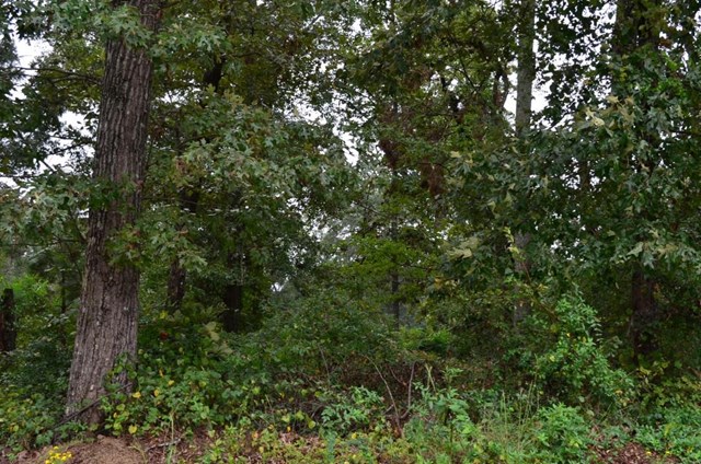 317 Durango Pass, Warner Robins, GA 31088 photo 1