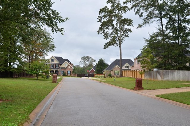 317 Durango Pass, Warner Robins, GA 31088 photo 2
