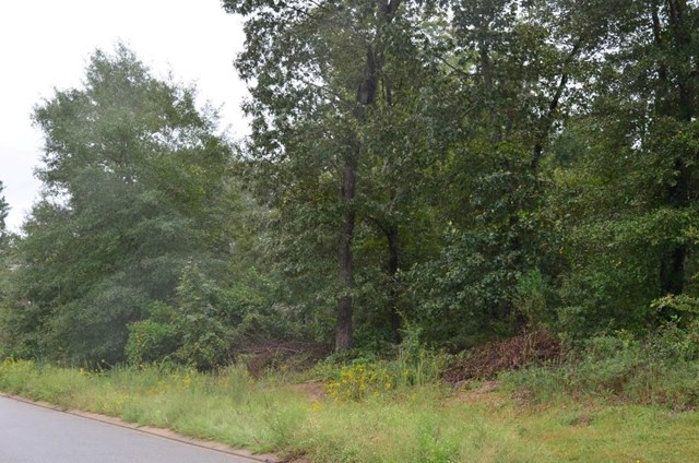317 Durango Pass, Warner Robins, GA 31088 photo 5
