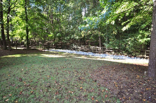 3255 River Summit Trl, Duluth, GA 30097 photo 20