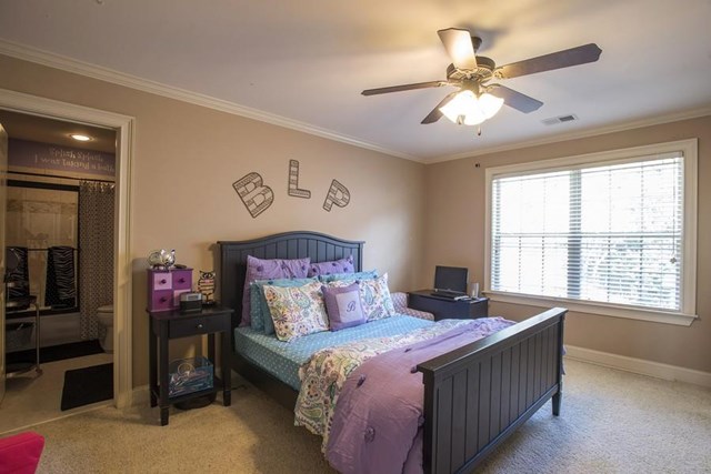 160 Shellbark Dr, Mcdonough, GA 30252 photo 6