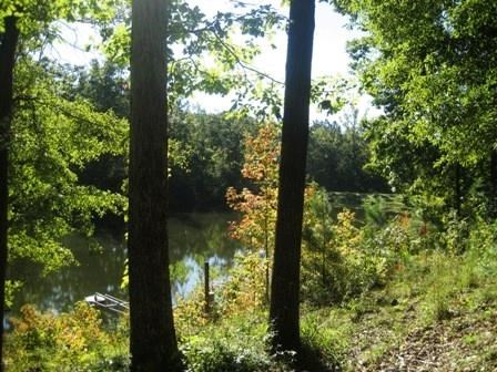 3937 Upper River Rd, Gray, GA 31032 photo 25