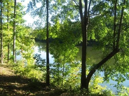 3937 Upper River Rd, Gray, GA 31032 photo 24