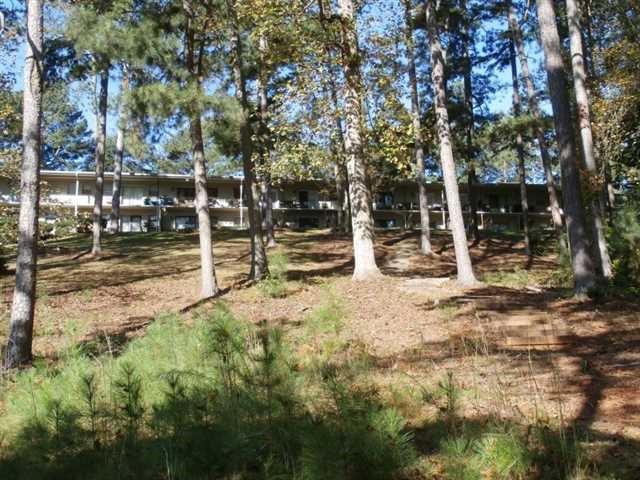 2109 Pine Tree Dr #C-15, Buford, GA 30518 photo 18