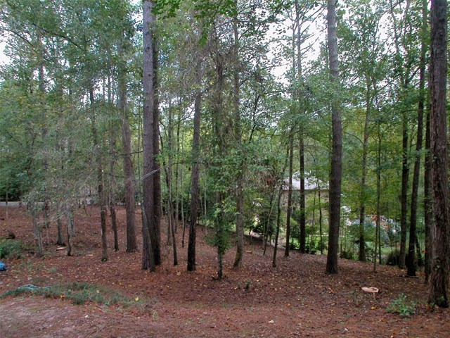 9905 Farmbrook Ln, Alpharetta, GA 30022 photo 22