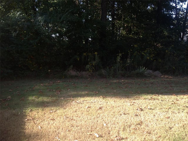 1422 Arbor Place Dr, Morrow, GA 30260 photo 18
