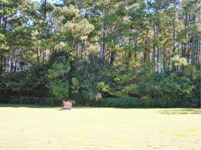 2012 Graystone Pkwy, Grayson, GA 30017 photo 17