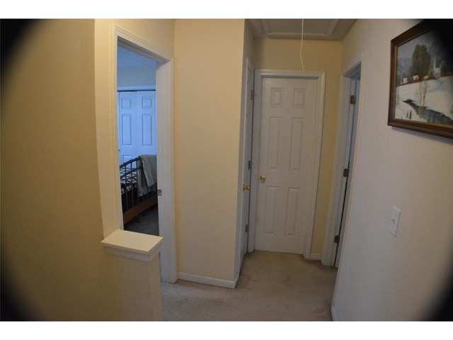 11061 Silver Aspen Ct, Hampton, GA 30228 photo 11