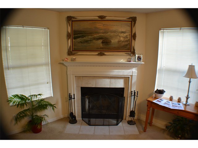 11061 Silver Aspen Ct, Hampton, GA 30228 photo 13