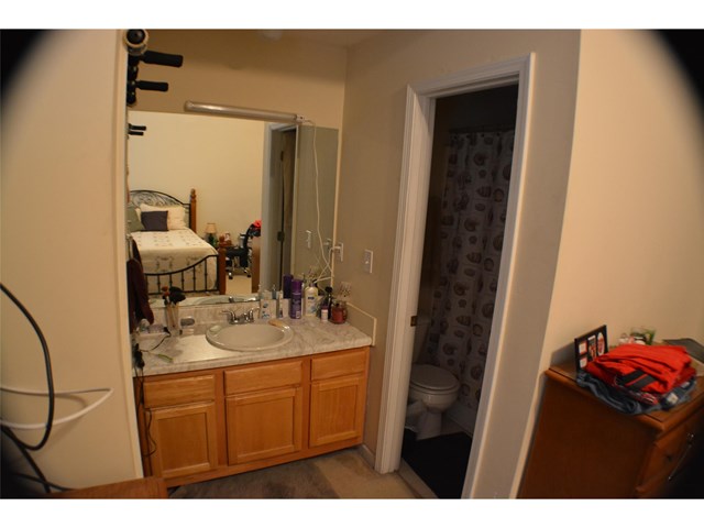 11061 Silver Aspen Ct, Hampton, GA 30228 photo 9