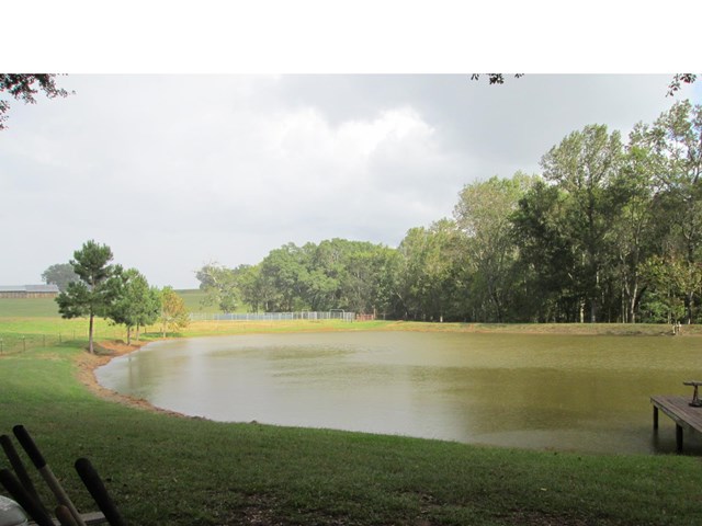 201 Dye Rd, Gray, GA 31032 photo 17