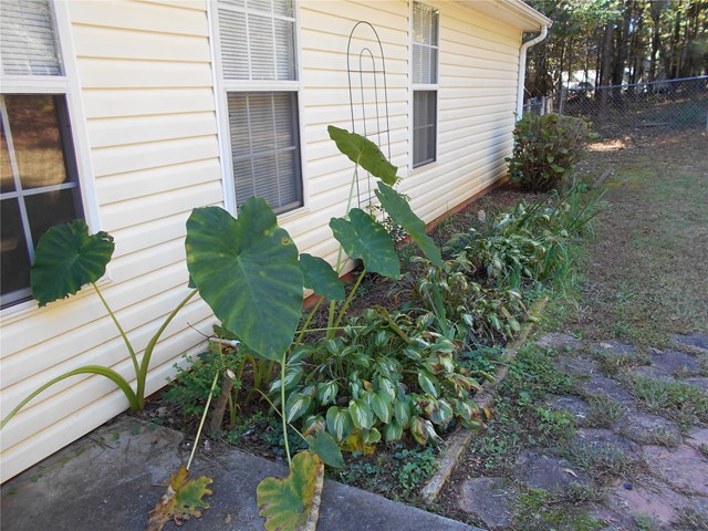 3003 Tennyson Dr, Monroe, GA 30656 photo 4