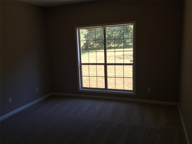 1117 E Shoreview Rd, Mcdonough, GA 30253 photo 8