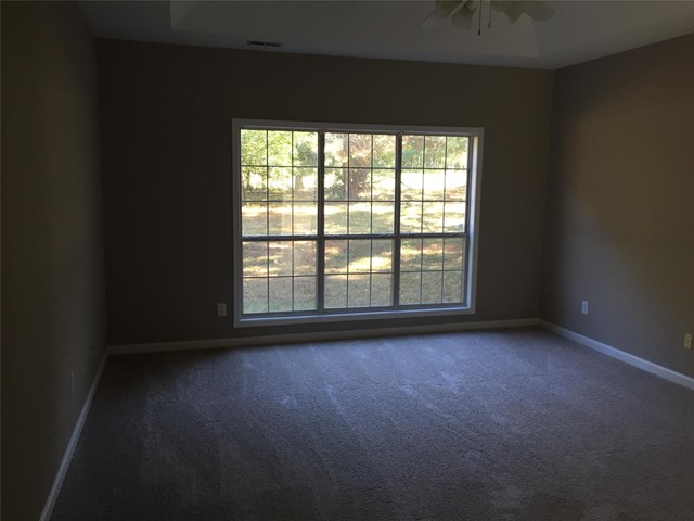 1117 E Shoreview Rd, Mcdonough, GA 30253 photo 10